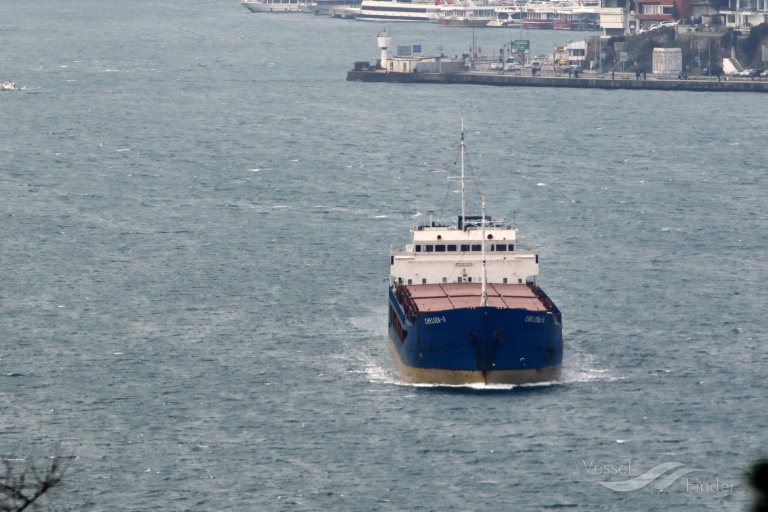 The small freighter Chelsea 3 at Istanbul, 2016 (Cengiz Tokgoz / VesselFinder)